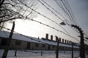 В Германии арестовали трех предполагаемых охранников Освенцима