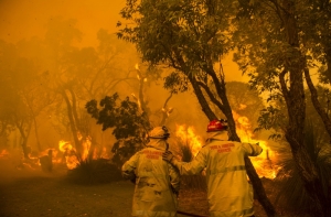 Ситуация с лесными пожарами на юге Австралии ухудшается