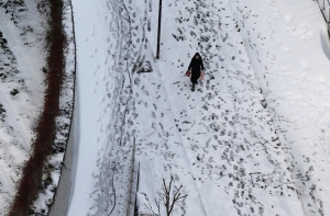 В Японии снежная буря унесла жизни семерых человек