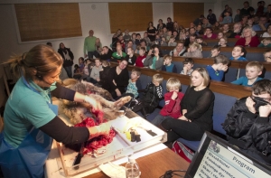 В Дании на глазах у детей расчленили волка
