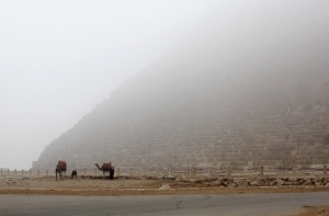 Женщина впервые стала руководителем политической партии в Египте