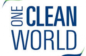 Организаторам субботника доверено проведение конференции «Clean World»