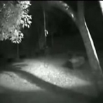 Оборотень на улицах нападает на бразильцев (ВИДЕО)
