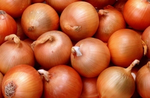 Снесенного в Киеве Ленина заменили золотым унитазом (ВИДЕО)