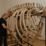 28 февраля в истории Латвии: а теперь - горбатый!