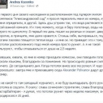 Робот-медведь терроризирует жителей Нью-Йорка (ВИДЕО)