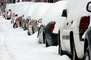 Жертвами снежной бури в США стали 22 человека