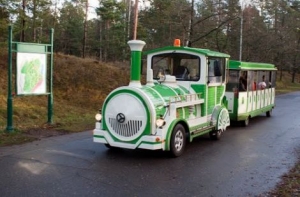 Трагедия в Межапарке: детский паровозик продолжит работать (ДОПОЛНЕНО)