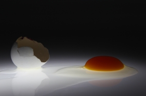 Куриные яйца восстанавливают память