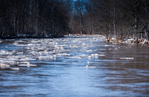 В Плявиняс на берегу Даугавы найдено тело утопленника