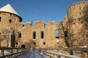 В Цесисе появится новый инфоцентр (АУДИО)