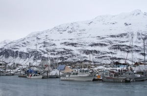 Петицию о присоединении Аляски к России подписали более 12 тысяч человек