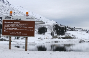 Петиция о присоединении Аляски к России набрала более 7 тысяч голосов