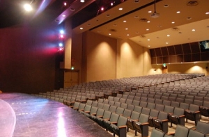 В калифорнийской школе обрушилась сцена