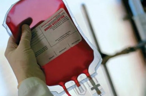 Ученые впервые введут искусственную кровь живым пациентам