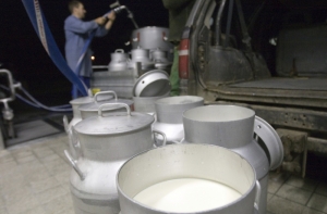 Россия приостановила импорт молочной продукции из Украины