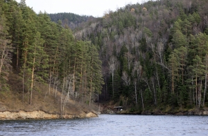 Санкт-Петербург: на пустыре нашли коробки с телами матери и детей