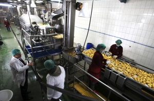 Украинцы построят в Латвии картофельный завод