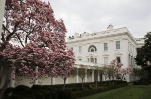 Белый дом снял петицию о присоединении Аляски к России