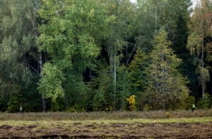 500 работников LDz приняли участие в Большом субботнике (АУДИО)