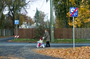 Эксперт: ни один ребенок не покидает Латвию без решения суда (АУДИО)