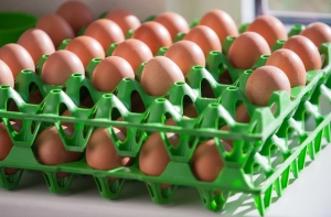 ПВС: в Латвии продают просроченные яйца из Польши