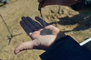 Правительство Украины дополнительно выделит армии 445 миллионов долларов