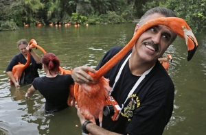 В Норвегии построят зоопарк с людьми (ВИДЕО)