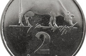 15 апреля в истории Латвии: дорогая корова