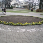 В рижских парках появились первые цветы (ФОТО)
