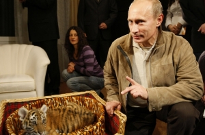 Путин выпустил на волю тигрят Кузю и Борю