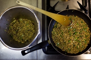 Космонавты Китая сели на «диету из червей»