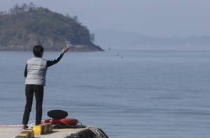 Число жертв крушения южнокорейского парома возросло до 242 человек