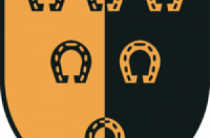 23 мая в истории Латвии: от мёртвого осла уши