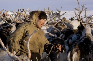 Чукчи проиграли иск к создателям Большого толкового словаря