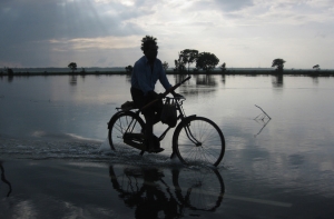 Дождь из рыбы прошел в Шри-Ланке