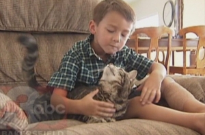 Cпасшую мальчика кошку пригласили сыграть в бейсбол