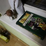 В Латвии могут полностью запретить новые психоактивные вещества