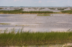Подросток утонул, съехав в озеро на велосипеде