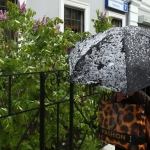 Июнь-2014: в России выпал снег