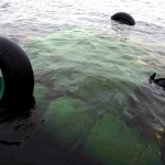 Упавший в Мурманской области Ми-8 могли подбить с земли