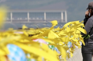 В Южной Корее задержали супругу владельца затонувшего парома Sewol