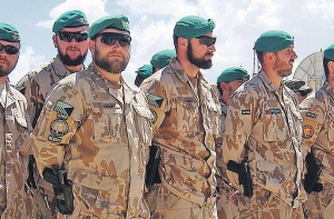 В чешской армии закончились боеприпасы