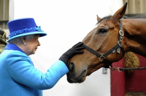 У лошади Елизаветы II нашли наркотики