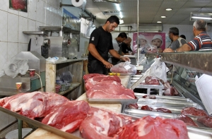 Россия вводит особый контроль за поступающим через ЕС мясом