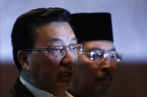 Для помощи в расследовании в Киев летит министр транспорта Малайзии