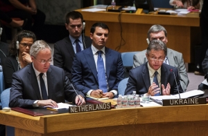 СБ ООН рассматривает проект резолюции в связи с крушением Boeing