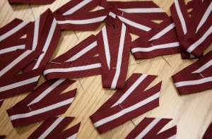 Экс-депутат: Латвию может спасти президентская республика