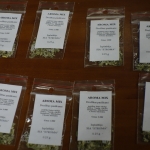 В Елгаве задержаны трое торговцев «спайсами»