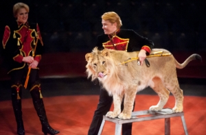 В Риге состоялся протест против использования животных в цирке